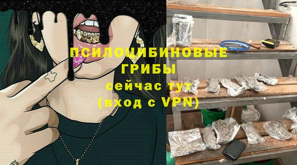 молекула духа Саяногорск